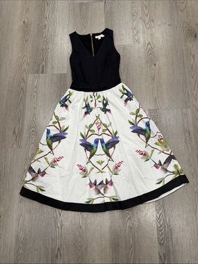 ted baker elynah asymmetric peplum dress | Dresses | New Ted Baker 295 Sz 5 Fits Large Like 4 Size:Size 10